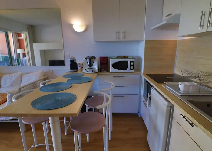 Climatisé Avec Loggia, 2 Pièces, 4 Pers, 2 Clés à - Fr-1-472a-248 Sète